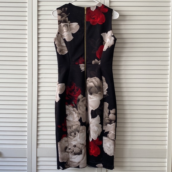 Calvin Klein Sleeveless Sheath Dress - Picture 2 of 7